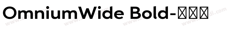 OmniumWide Bold字体转换 OmniumWide Bold字体转换